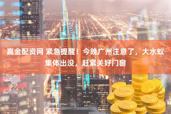 赢金配资网 紧急提醒！今晚广州注意了，大水蚁集体出没，赶紧关好门窗