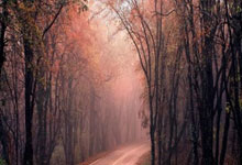 哪个股票平台好:股票开户应该选哪个券商-9月2日龙虎榜复盘：“中山东路”2.04亿元净买入长春高新